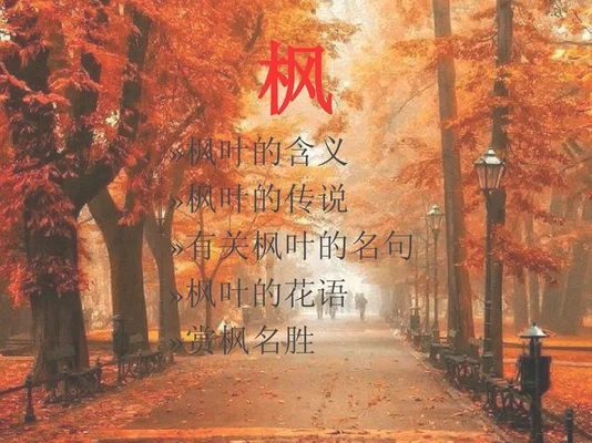 思枫的寓意