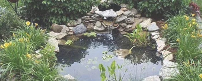 鱼池除碱最快方法