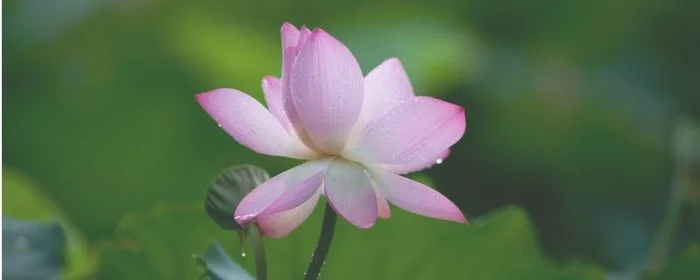梅雨季节是什么时间2020多少天,2020年梅