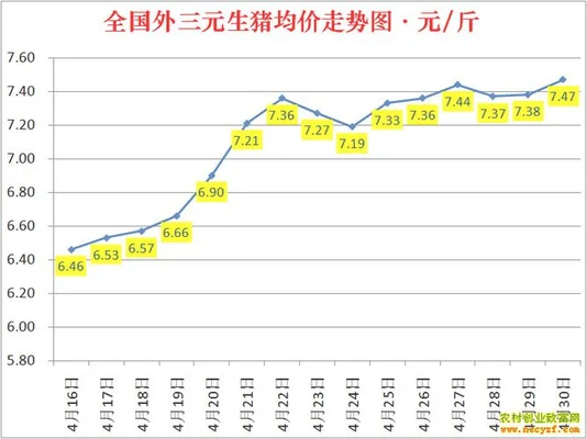 今日全国猪价最新涨跌(猪价逆袭全线上涨！4