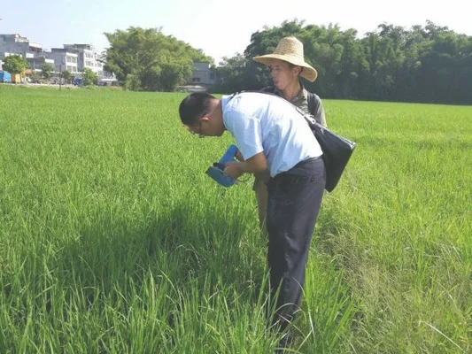 四、田间管理