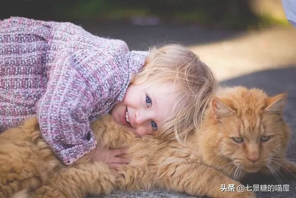 猫知道人类的小孩是小孩吗(养猫的诡异禁忌)