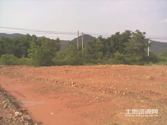 坡地怎么种植蔬菜（山地种菜照样开出“富贵