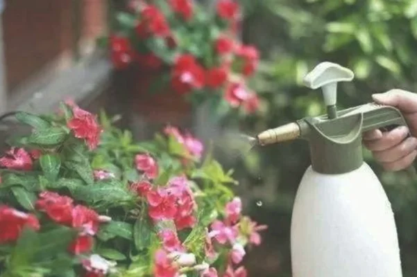 3、浇水