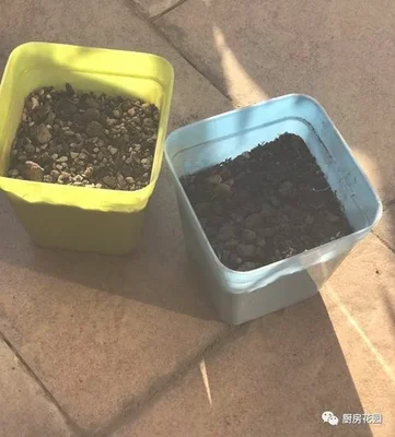 第二步，在土里埋上一些小石子（一小块),就可以播种了。