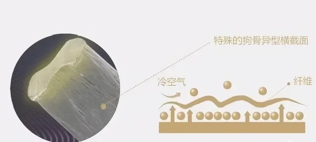 德绒是什么面料(蚕丝德绒是什么面料)
