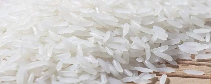 香米是什么米,生态香米是什么米