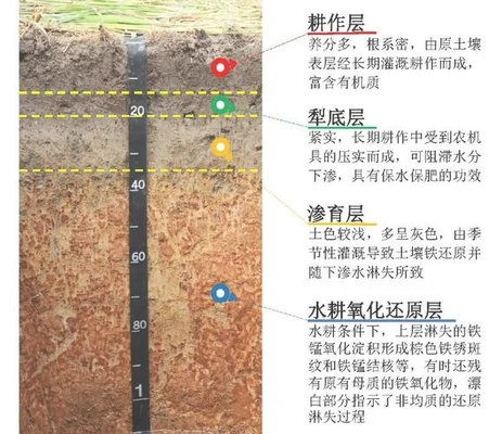 四、水分和土壤要求