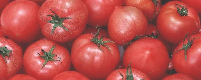 番茄可以放多久