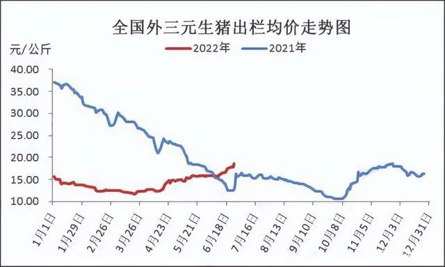 猪价格今日猪价格全国走势,今天是涨还是