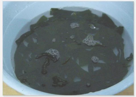 冬瓜海带汤的做法步骤3
