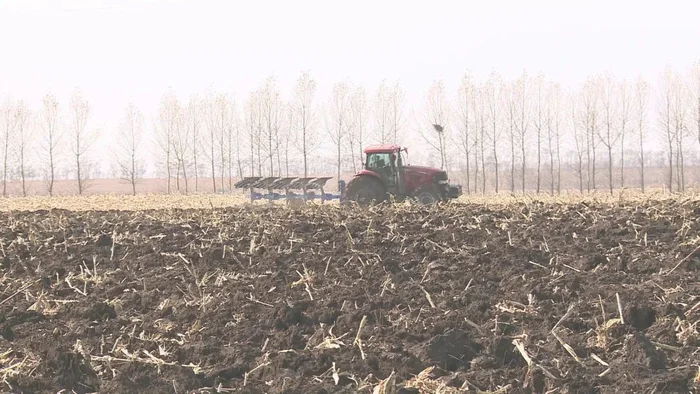 二、整地
