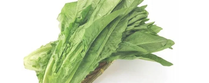 不是绿通的蔬菜有哪些