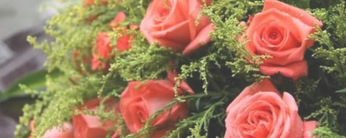 订婚花上卡片写什么字,订花时写在卡片上的文字
