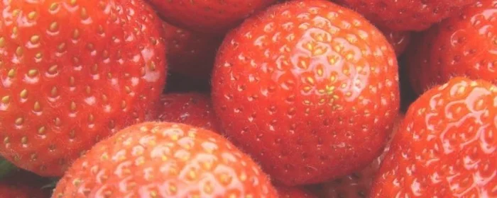 草莓的正确清洗方法,草莓的正确清洗方法