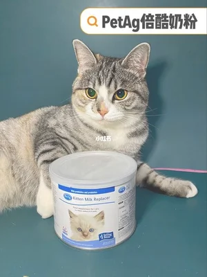 小猫可以喝中老年奶粉吗？