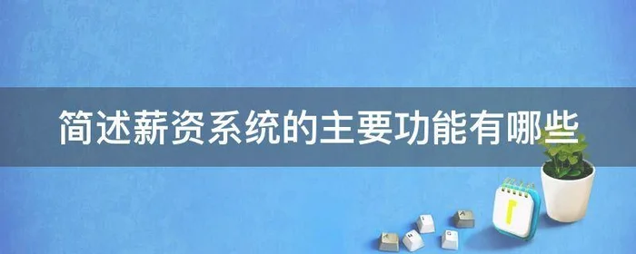 简述薪资系统的主要功能有哪些,薪资管理