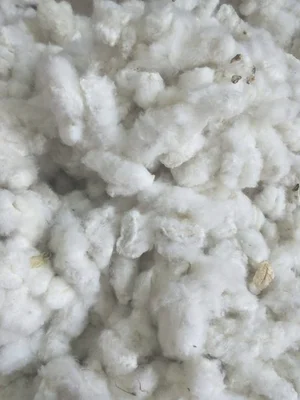 今天籽棉价格多少钱一斤(今年的棉花价格多少钱一斤？棉花质量标准有哪些？)