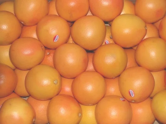 葡萄柚的功效与禁忌