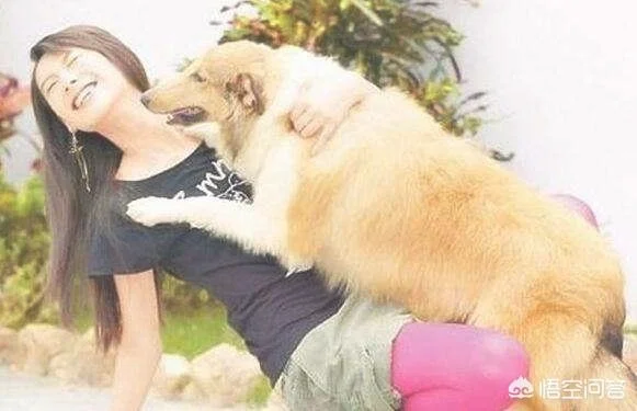 当看到一个女人带着一只很大的狗独自一人遛狗时，你们会有一种什么感觉