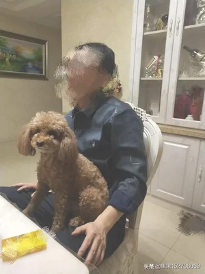 你家狗狗把你当做主人时会有什么表现(狗狗认为自己是主人)