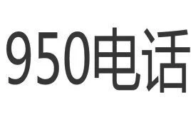 95010是什么号码？95010是多少号