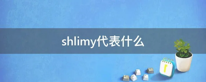 shlimy代表什么,shmy什么意思
