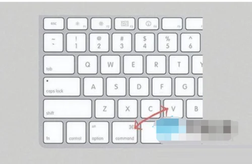 苹果电脑快捷复制(Mac 上拷贝(复制)、粘贴的方法)