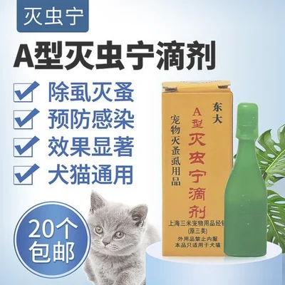 小猫去体外抓虫子,没想到却意外发现了药