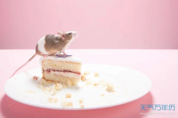 生肖鼠什么时辰出生好