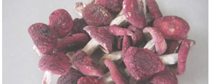 假红菇满山红能吃吗,不能吃的红菇图片