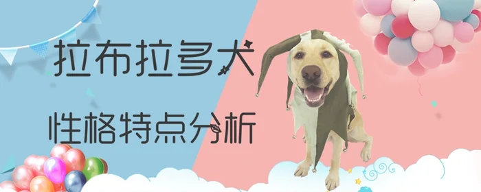 拉布拉多犬性格怎么样