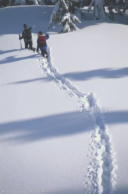 人站在雪地上的凹陷程度,取决于什么因素