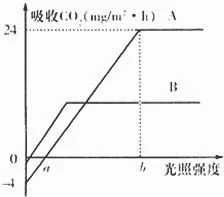 二、光照和温度适宜