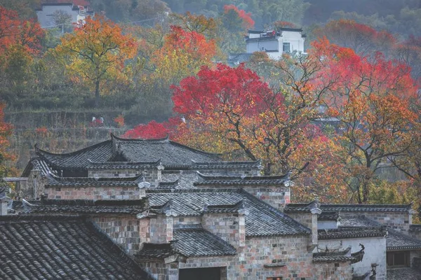 塔川在哪里？塔川旅游风景区,塔川县