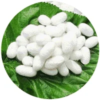 涤纶是什么面料(涤纶是什么面料起球吗)