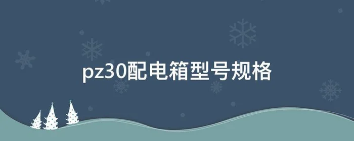 pz30配电箱型号规格,pz30配电箱型号规格 尺寸图片