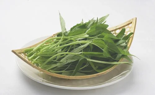 空心菜种植多了吃不完怎么储存（抓紧吃空心菜）