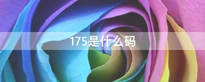 175是什么码