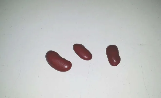 图钉红豆是什么梗