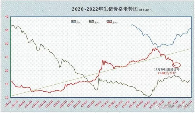 生猪期货价格走势：2020年3月18日,生猪期货主力合约震荡上行