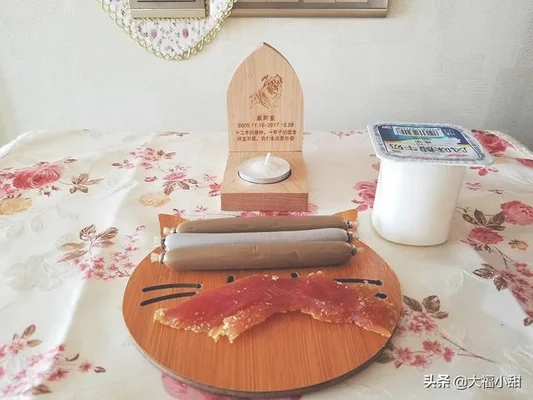 你家养的宠物都是什么性格的(养宠物的女孩都是什么性格)