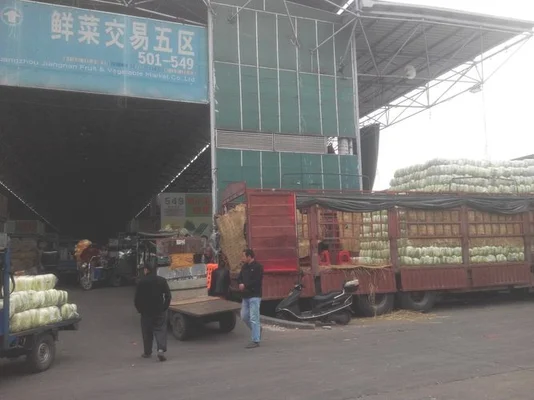 北京蔬菜批发市场有哪些？北京最大的蔬菜批