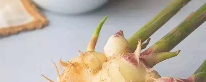 姜发芽变绿了还能吃吗