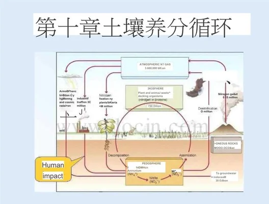 5.土壤养分失衡