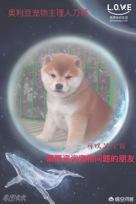 被五个月的狗狗轻微抓伤，会不会感染上狂犬