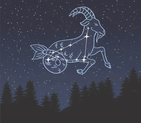 12月是什么星座(12月是什么星座和什么星座最配)