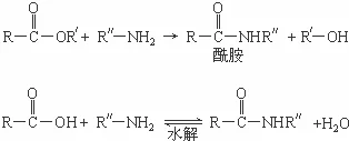 酰胺基是什么基团