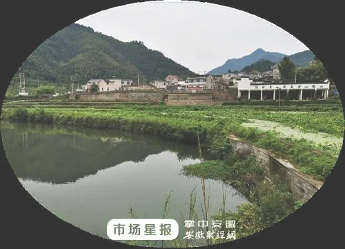 下溪村在浙江哪里,下溪村旅游攻略,下溪村