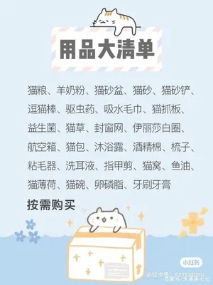 新手养猫需要准备什么,新手养一只猫要注